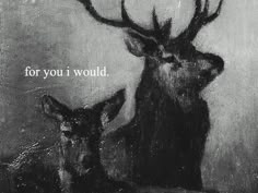 two deer standing next to each other with the words for you i would written on it