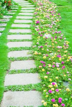 a stone path lined with flowers in the grass