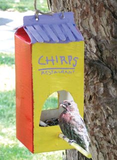 there is a bird that is sitting on a box next to a tree with the words chirps restaurant