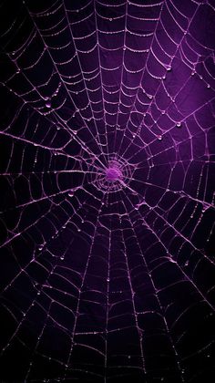 a spider web with water drops on it's surface in the dark night sky