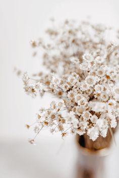 a vase filled with white flowers on top of a table