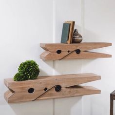 two wooden shelves with some plants and books on them