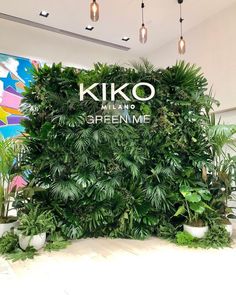 the entrance to kiko melano's greenme, which is located in an office building