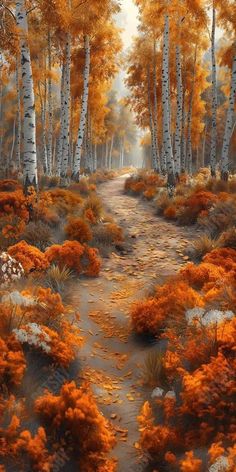 Gatsby Beautiful Autumn Birch Forest Photography Backdrop Gbsx-00808 - Gatsby Backdrop Fall Photo Backdrop, Aspen Trees Photography, Photoshoot Forest, Picture Backdrop, Forest Backdrop, Fall Backdrops, Forest Backdrops, Birch Forest, Forest Photos