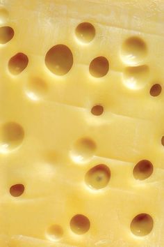 the cheese has holes in it and is yellow