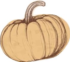 a drawing of a pumpkin on a white background