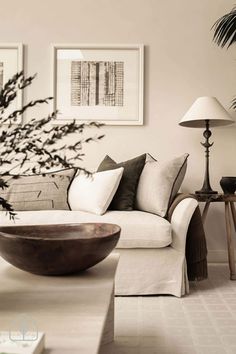 a living room filled with furniture and a plant in the corner on top of a coffee table