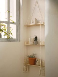 a white shelf with some plants on it and a potted plant in the corner