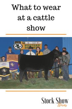 a black cow standing on top of a green field next to people and a sign that says what to wear at a cattle show