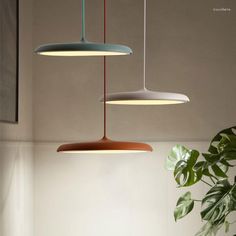 three lights hanging from the ceiling above a table with a potted plant on it