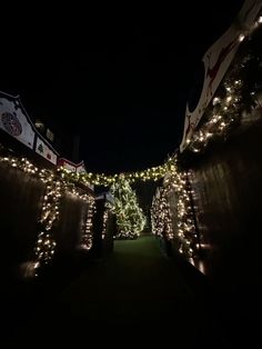 the walkway is decorated with christmas lights and decorations