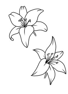 two flowers are shown in black and white, one is drawn on the left side