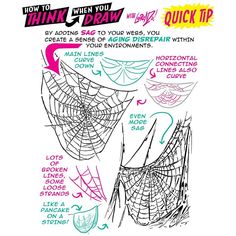 the instructions for how to draw a spider web