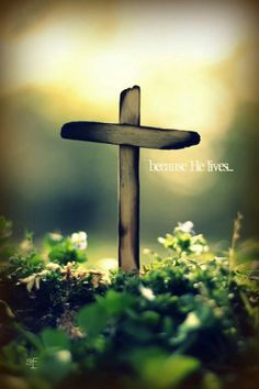 a wooden cross sitting in the grass with a quote above it that says, sefor en tu nombre con tuerza y con tusange