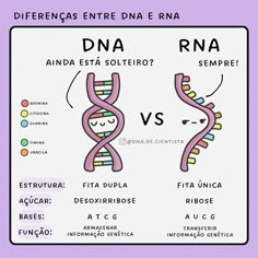 an image of the differences between human and non - gened neurons in spanish