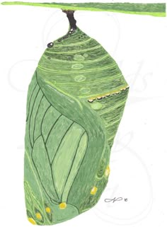 a drawing of a green leaf hanging upside down