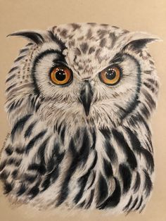 an owl with orange eyes is shown in this drawing