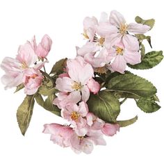 an arrangement of pink flowers with green leaves