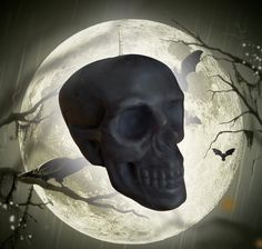 a black skull sitting in front of a full moon