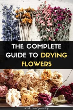 the complete guide to drying flowers