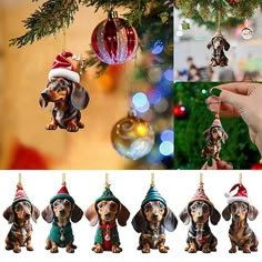 a christmas ornament is hanging from a tree with ornaments in the shape of dachshund dogs