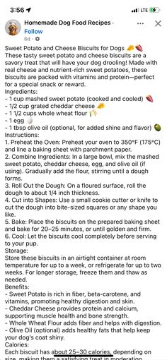 the recipe for homemade dog food is shown in this screenshoto screen shot,