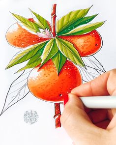 a person is holding a marker and drawing some fruit on a paper with watercolor pencils