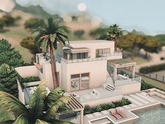 an artist's rendering of a modern house with palm trees in the foreground