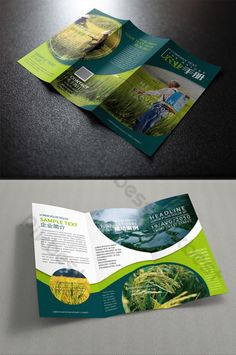 two fold brochure with green and yellow designs on the front, side and back