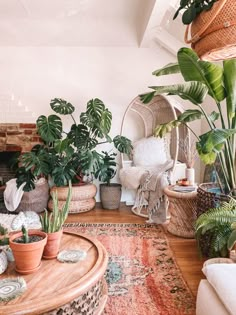 a living room filled with lots of plants and wicker baskets on top of it