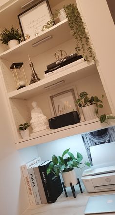 the shelves are filled with books, plants and other things on top of each shelf