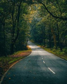 an empty road surrounded by trees and leaves