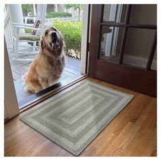 a dog is sitting on the door mat