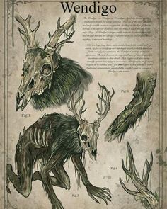 an old book with some drawings of animals on it's pages, including deers and