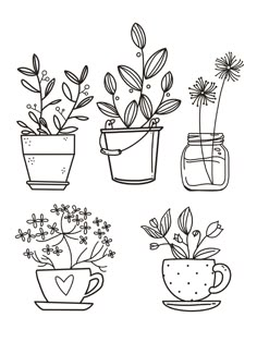 four potted plants are shown in black and white