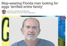 The 50 Most Batshit Insane Things That Happened In Florida In 2017 Florida Man Meme, Not Real, Scary Pics, Florida People, Florida Men, Funny Tumblr Stories, Funny Quotes Tumblr, Period Humor, Florida Man