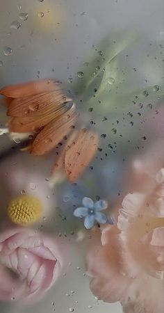 some flowers and raindrops on a window