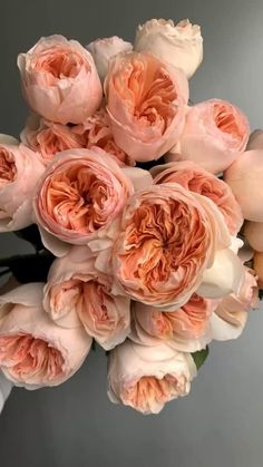 a person holding a bouquet of pink flowers