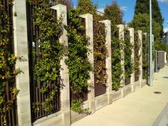 a row of concrete pillars with plants growing on them