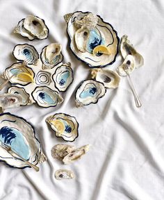 an assortment of seashells on a white sheet