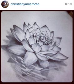 a drawing of a lotus flower on paper with water in the foreground and text that reads, i am not sure what this is