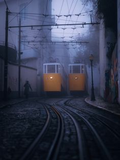 two yellow trains on tracks in the fog