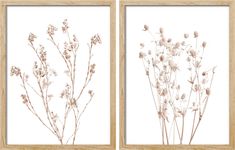 two framed pictures with flowers in them on a white background, one is brown and the other is beige