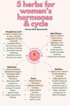 The Moon Cycle, Osteoporosis Prevention, Womb Healing, Balance Your Hormones, Moon Cycle