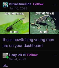 two different types of animals with captions on the bottom right and bottom left side