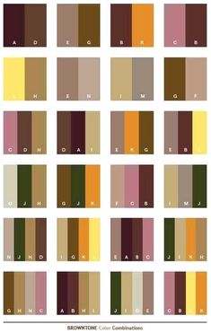 the color scheme for different shades of brown