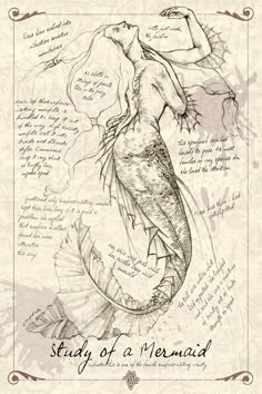 a drawing of a mermaid with writing on the back and side of its body,