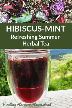 a glass full of tea with the words hibiscus - mint refreshing summer herb tea