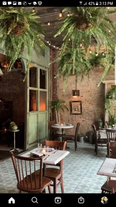 the interior of a restaurant with tables, chairs and potted plants hanging from the ceiling