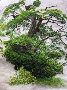 an image of a tree made out of leaves on a piece of paper with scissors